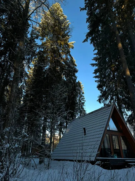 Домик с баней в лесу