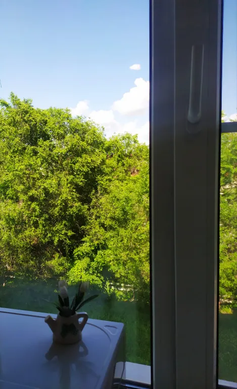 Апартаменты с видом на горы