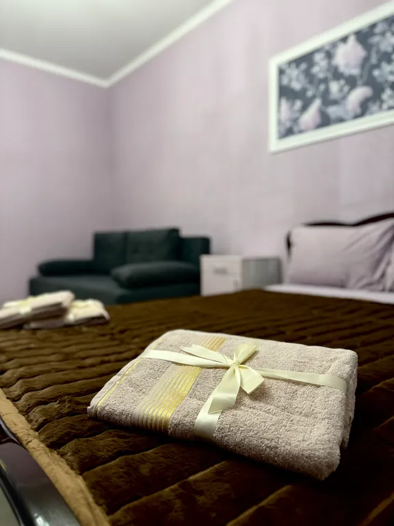 Просторная однушка рядом с центром