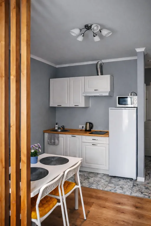 Современная студия для коротких и долгих визитов