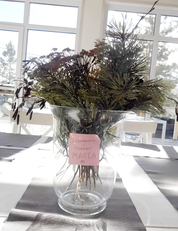 Дом дуплекс озеро увильды