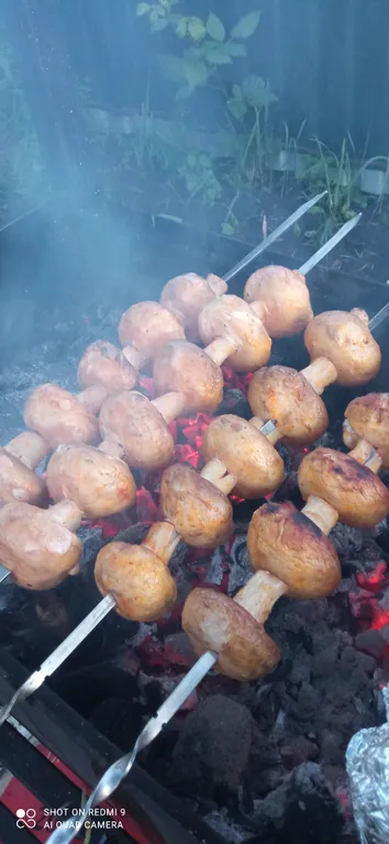 Гостевой дом Синеглазка