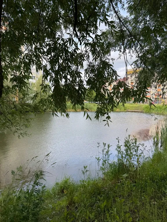 Квартира Квартира комфорт+ в Центральном районе — Калининград