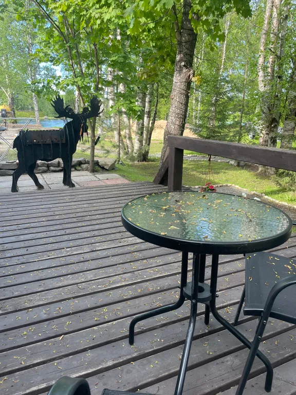 Отдых в тишине у реки