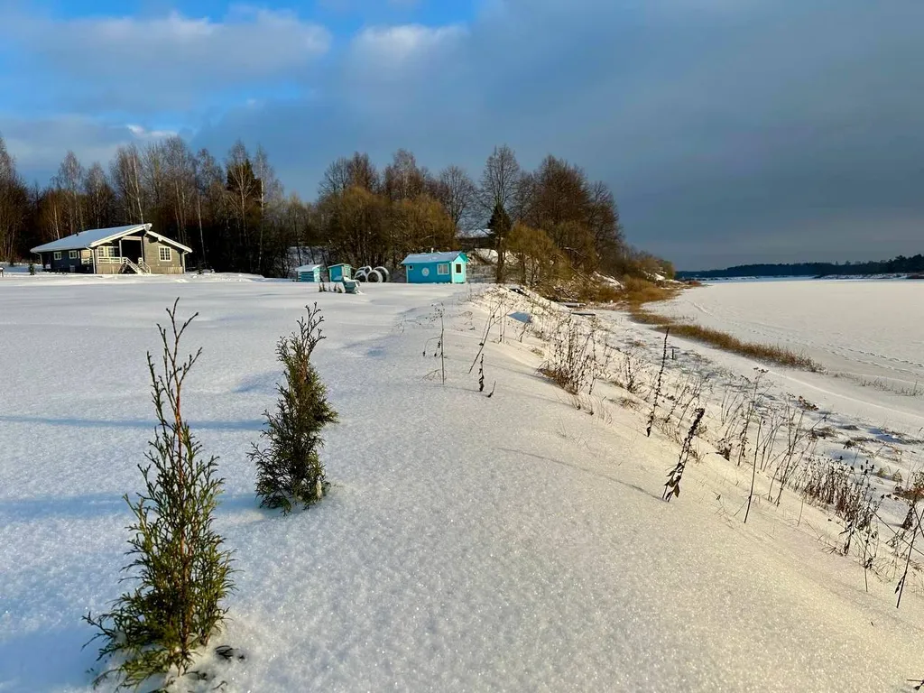 Дом Радха в Березовой роще