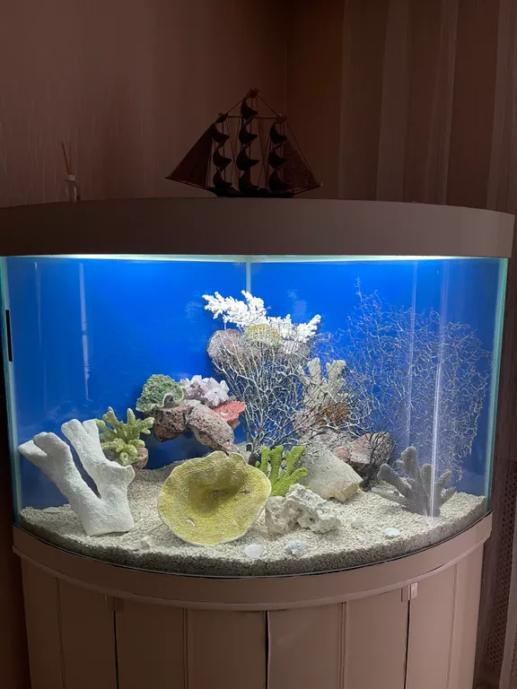 Квартира с шикарным видом на город