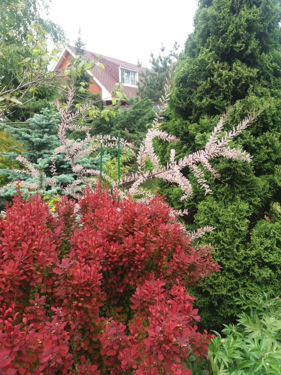 Дом в ботаническом саду