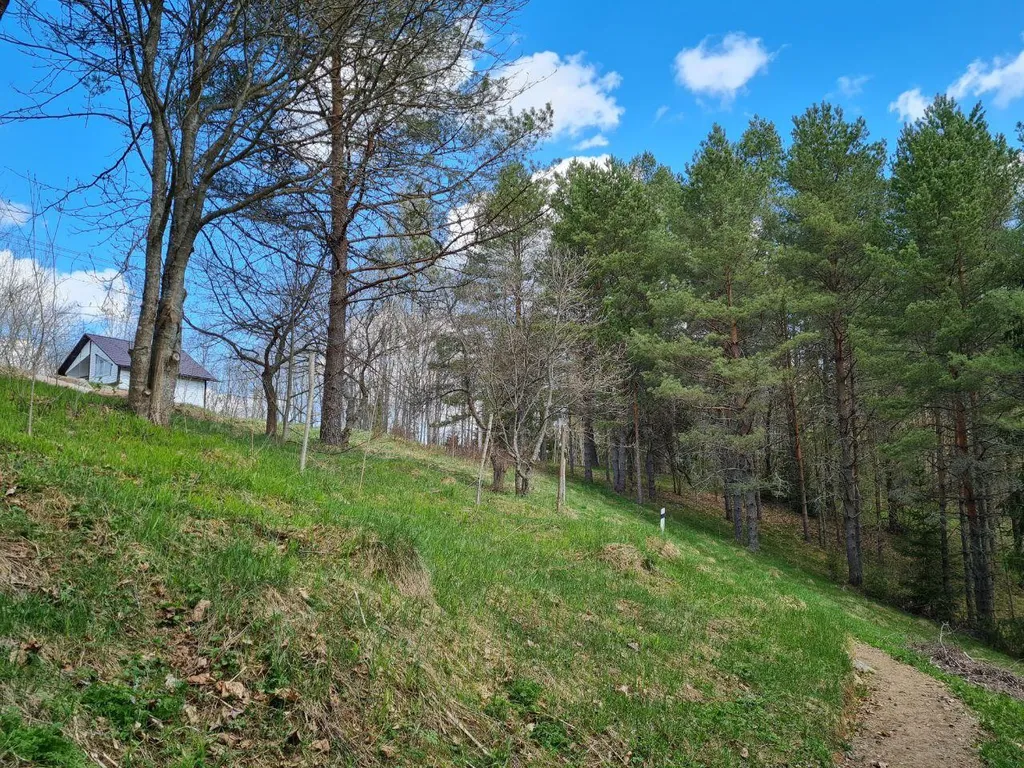 Коттедж Коттеджи у озера — Луга