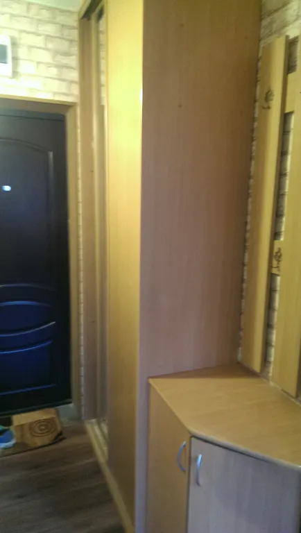 У ботанического сада