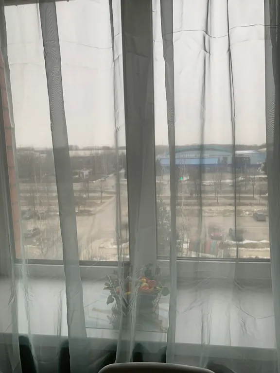 Дом с видом на Ледовый дворец