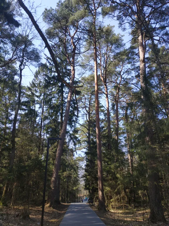 Уютная квартира как дома