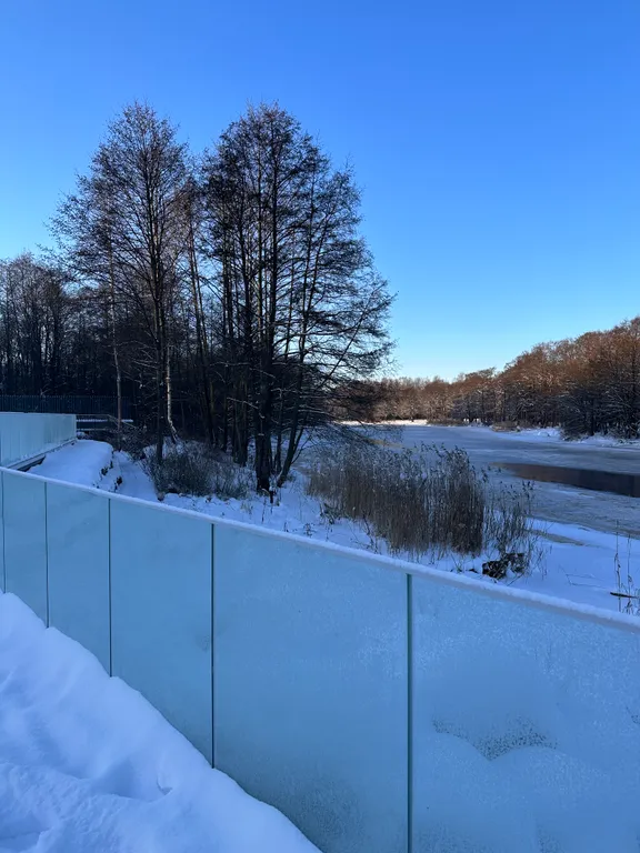 Студия на Новый Год в Курортном районе