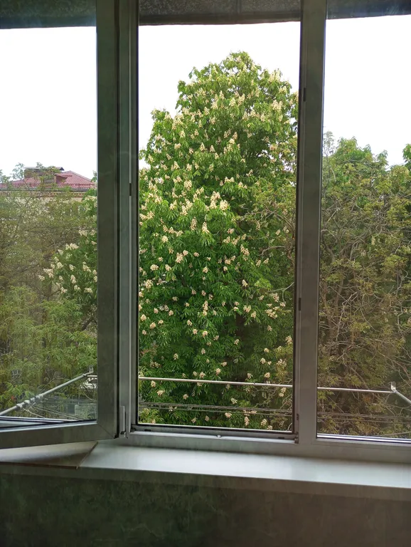 Небольшая квартира-студия гостиничного типа со всеми удобствами