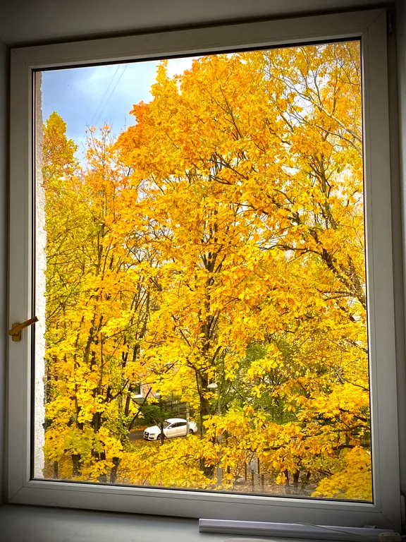 Квартира 2-комнатная Квартира — Пушкин