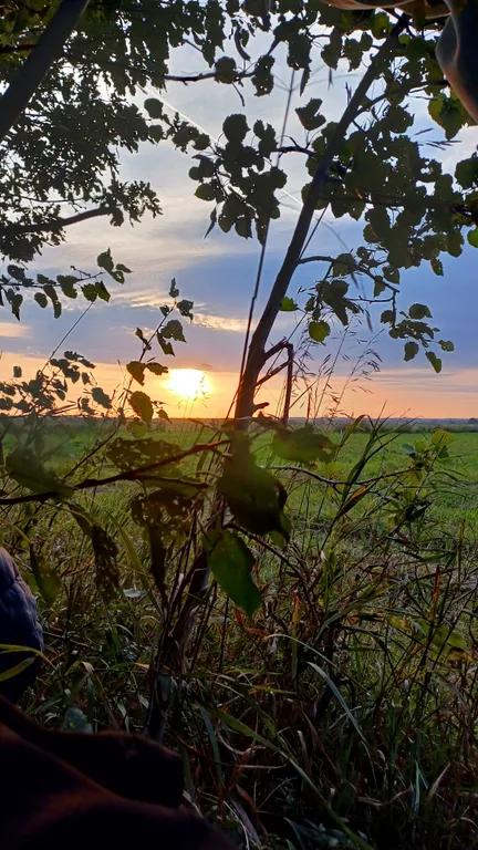 Домик у Оки