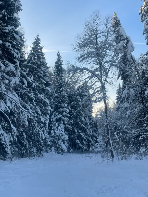 Коттедж Коттедж Семейный отдых в Подмосковье — Семеновское