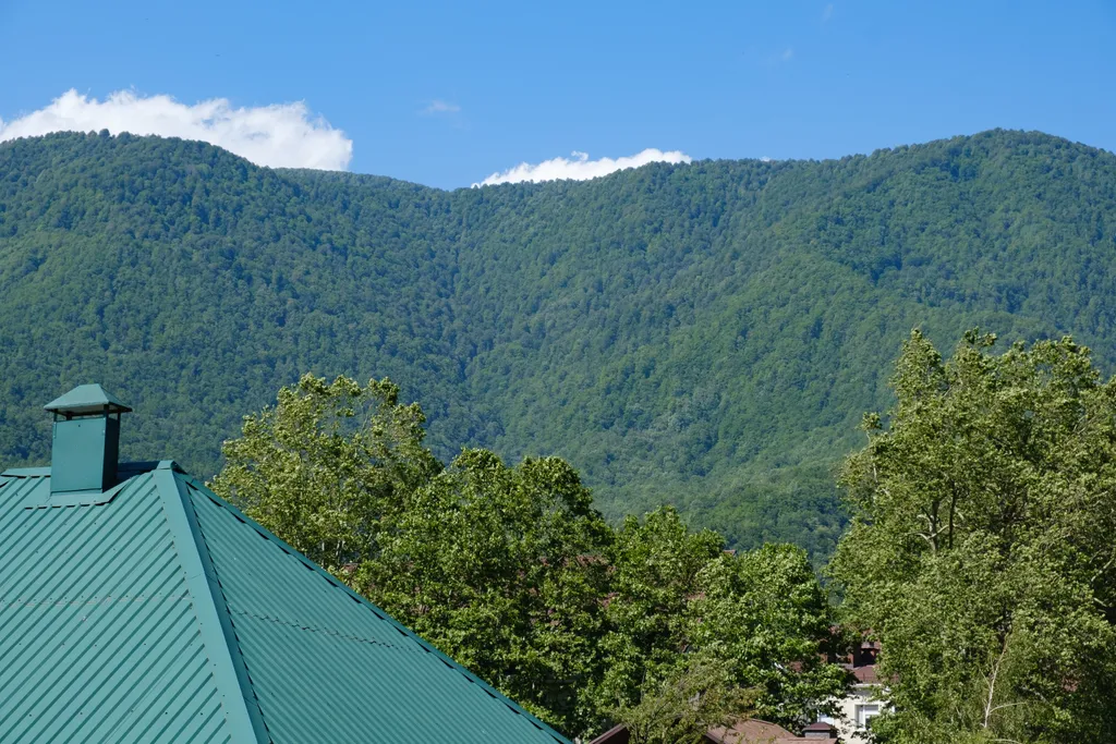 Апартамент с видом на Горы