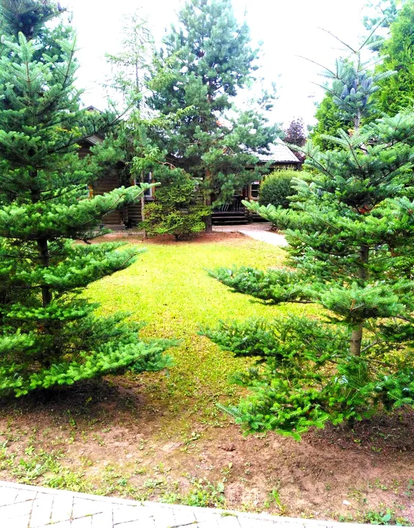 Дом - баня на берегу реки