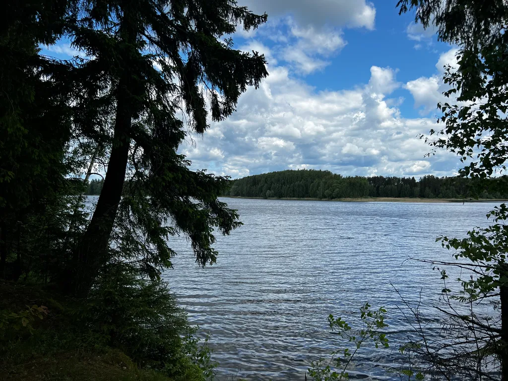 Дом Немо с уличной купелью  в лесу