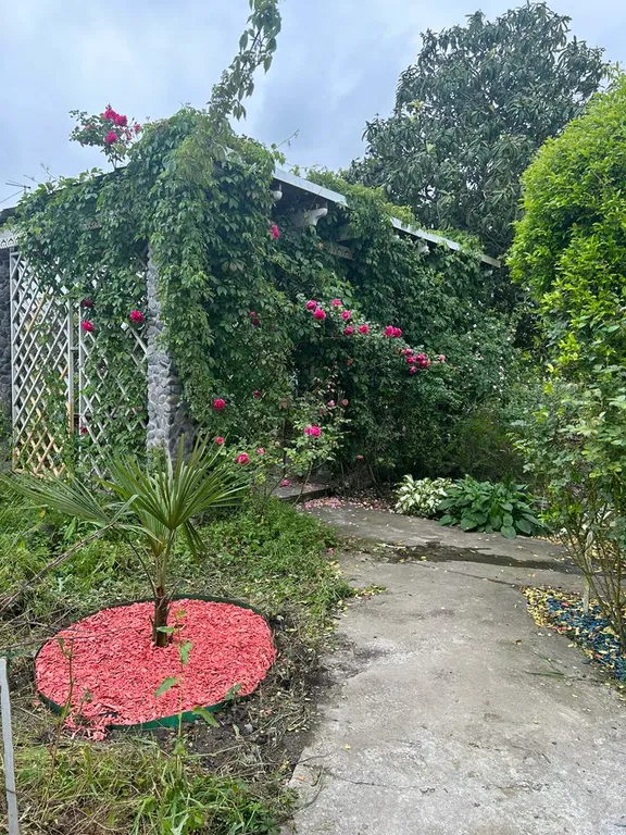 Уютный дом для семейного отдыха