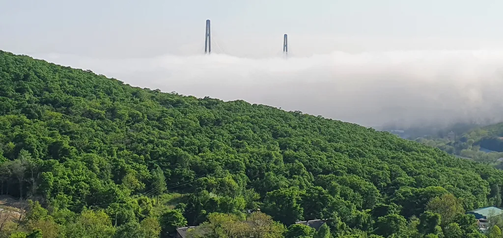 Квартира с красивым видом