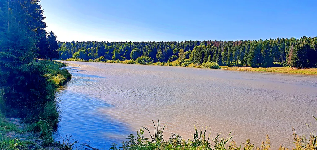 Дом Зелёный дворик