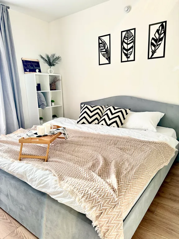 Квартира Биг-студия с диванчиком и кроватью Митино — аренда посуточно в Красногорск