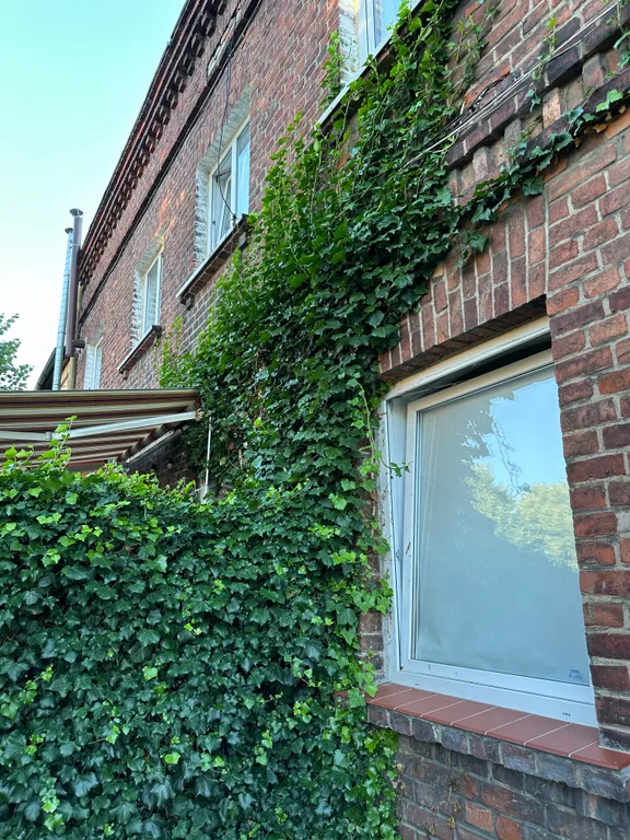 Квартира с видом на море