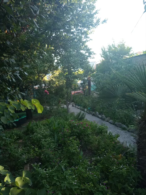 Двухкомнатная квартира в частном секторе у моря Курорт Ялта-Мисх