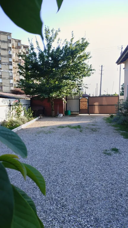 Коттедж в заповеднике