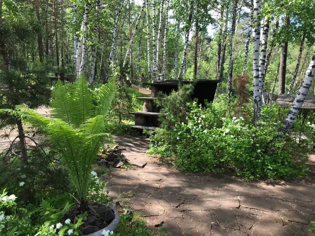 Сказочный дом в лесу