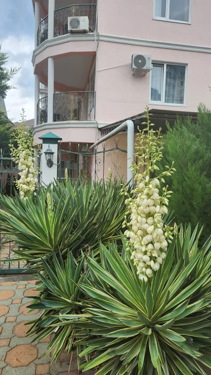 Уютная студия с балконом