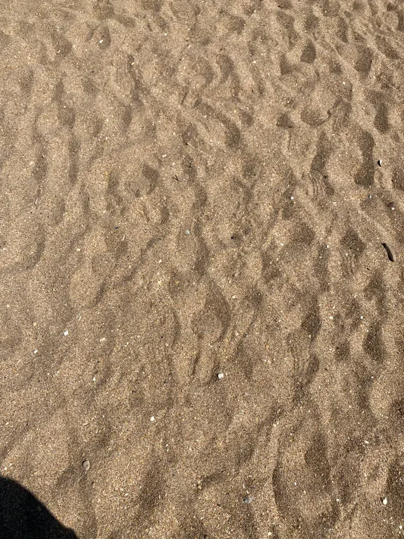 Квартира у моря