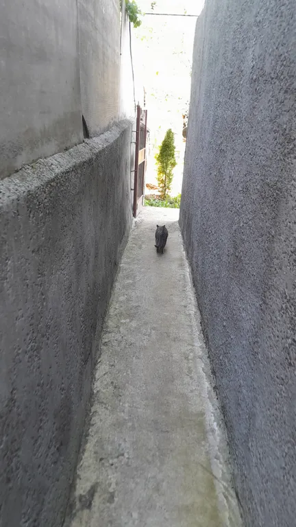 Комната с отдельным входом в частном доме рядом с парком