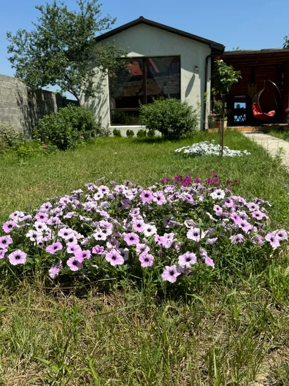 Домик с террасой и своей территорией