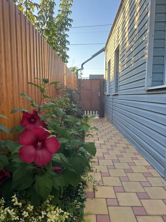 Домик с мини-садом