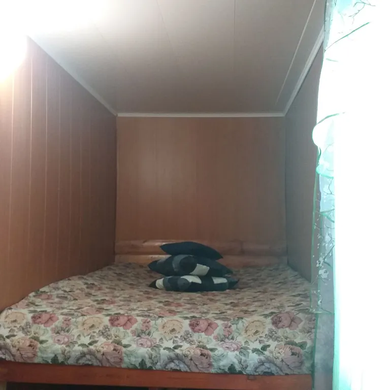 Отдых в Бузулукском бору круглый год с выходом в лес.