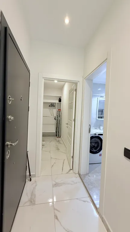 Клеопатра 2+1 линейная