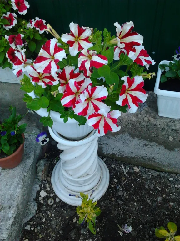 Часть дома с двумя комнатами