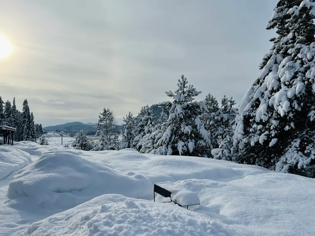 Гостевой дом У Беспаловых с видом на реку Бия