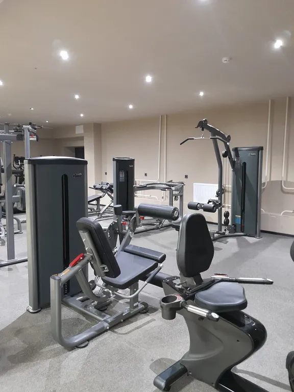 Студия в сосновом бору