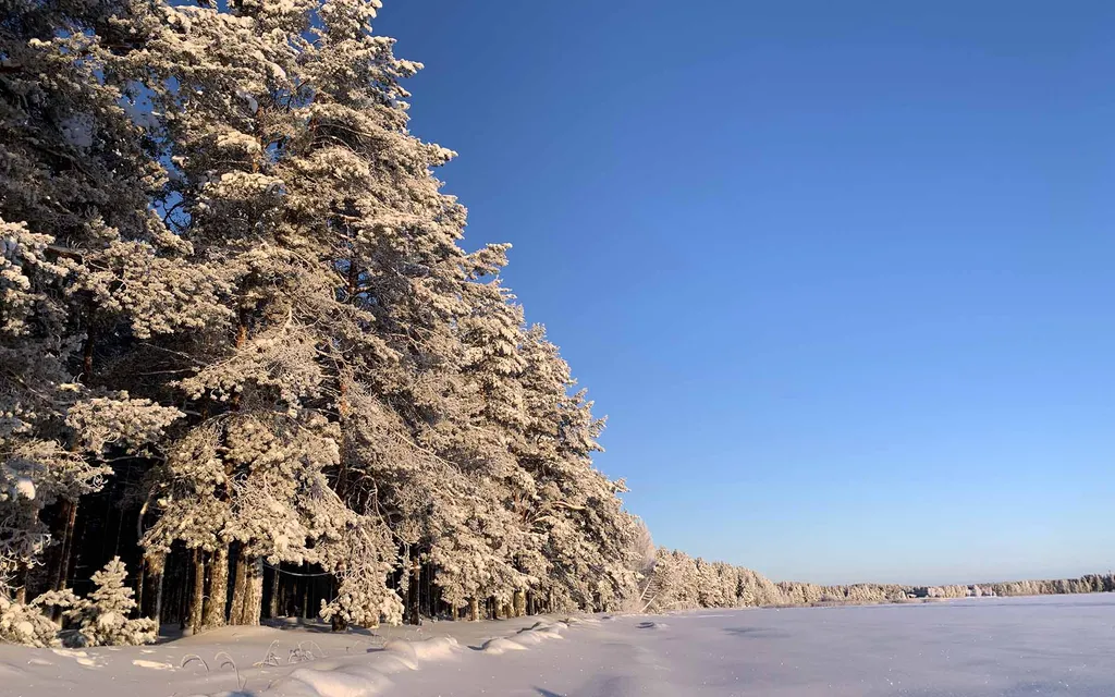Коттедж Кивач с сауной и видом на озеро