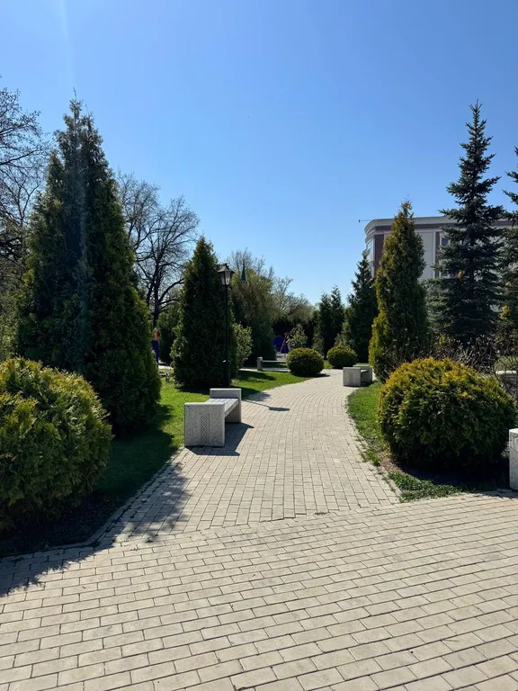 Квартира с камином у леса