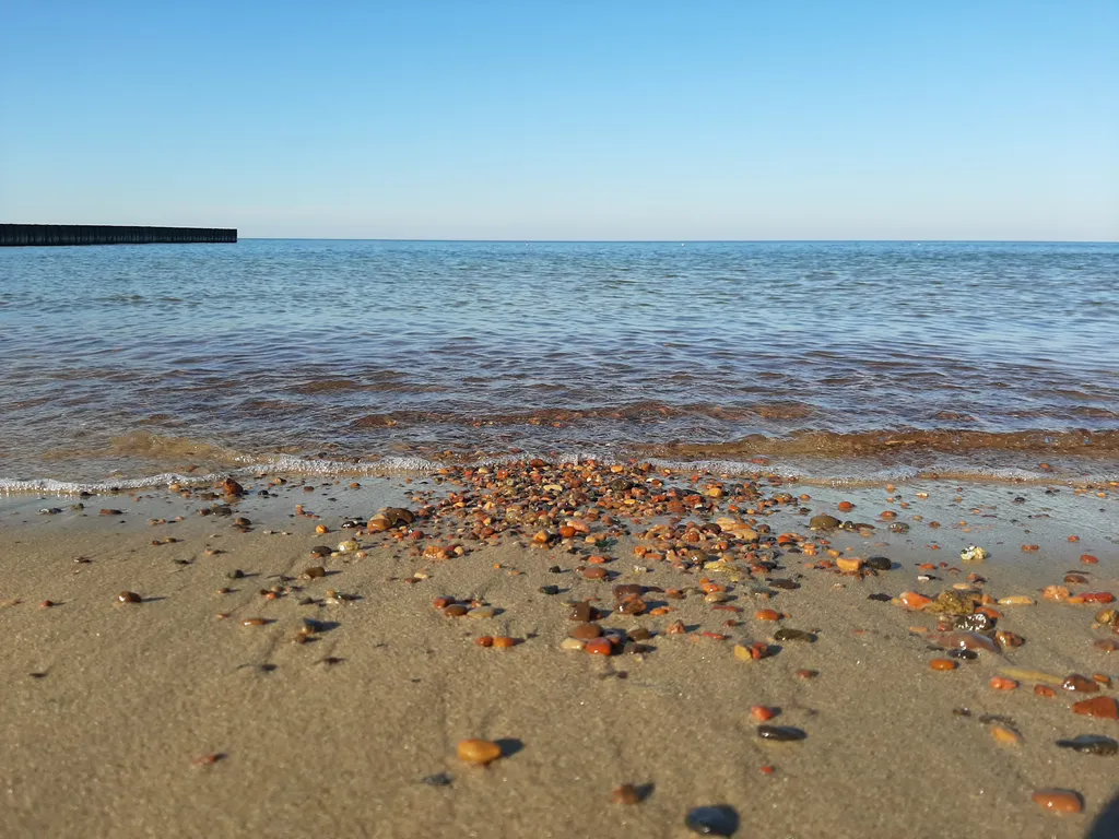 Квартира Квартира Vi&Va у моря — Светлогорск