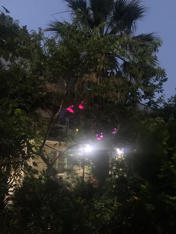 Квартира Комната — Адлер