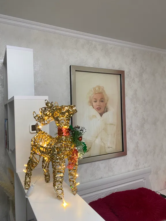 Квартира Апартаменты Монро — Калининград