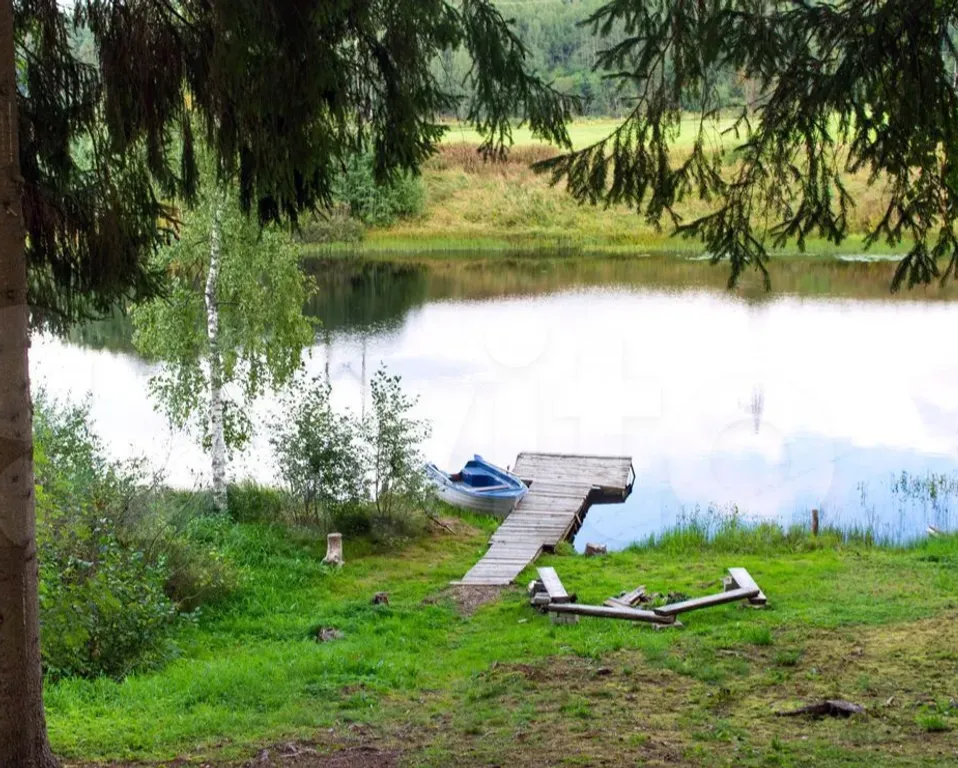 Домик у леса