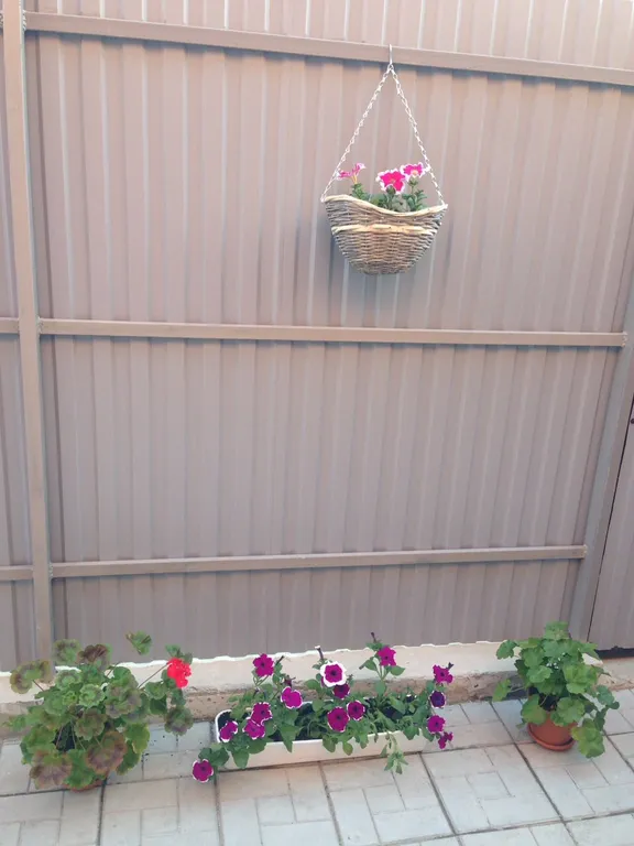 Таунхаус Мечта