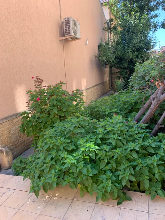 Коттедж Дом в центре города — Дербент