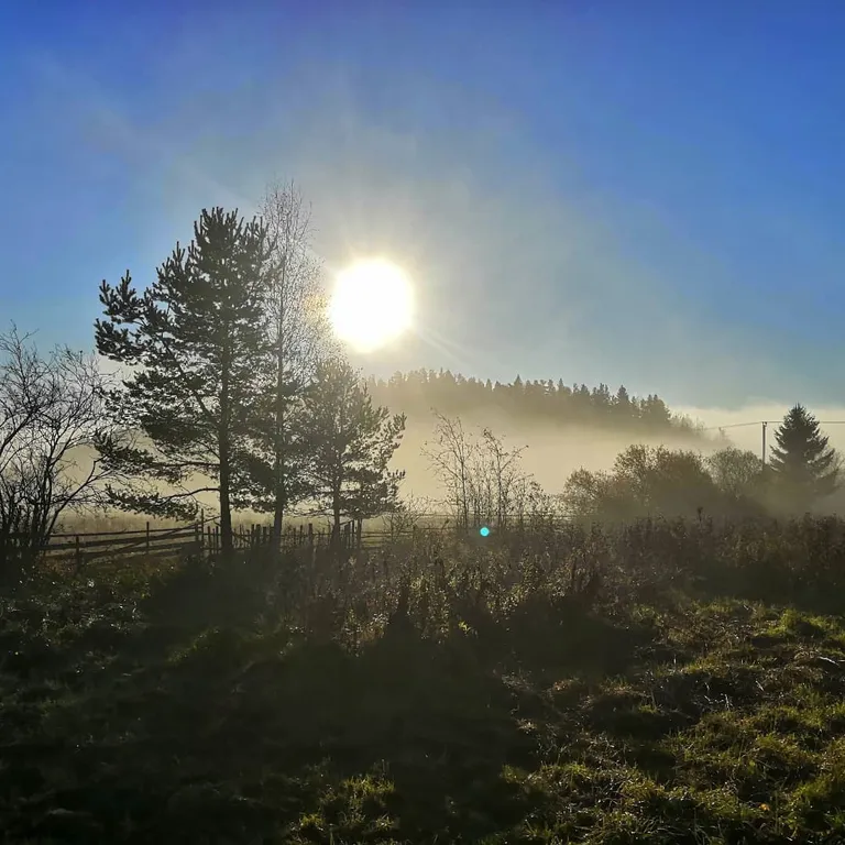 Дом и кемпинг у Змеиной горы